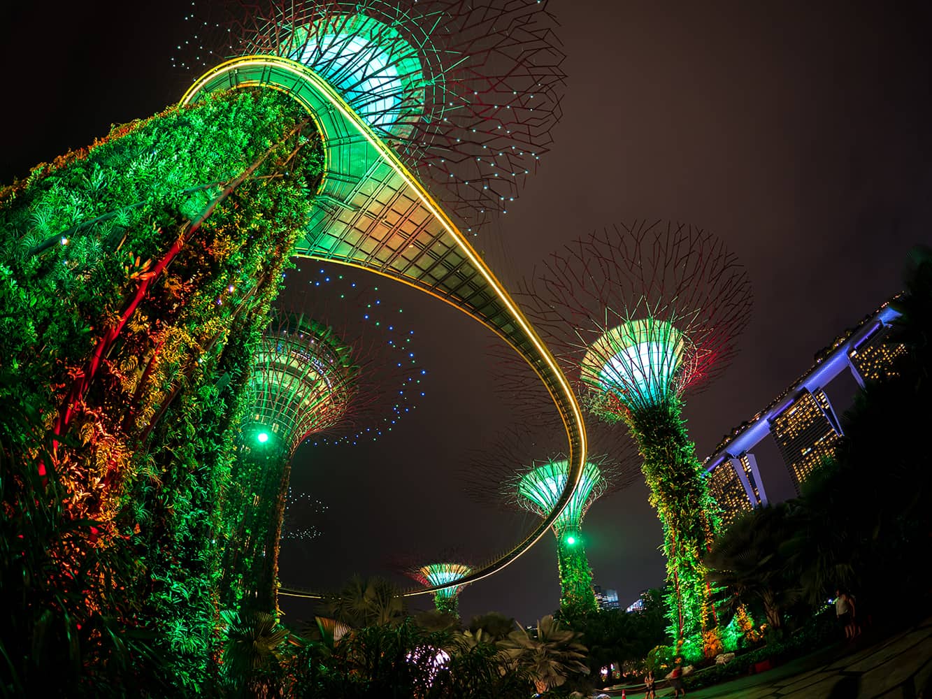 Gardens by the bay Singapore.